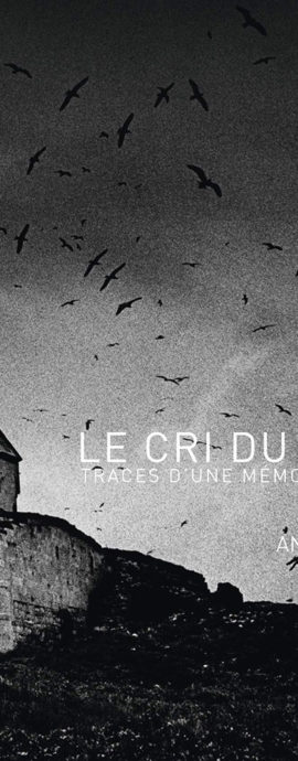 Le Cri du silence